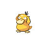 "Psyduck" Icon