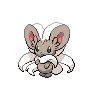 "Cinccino" Icon