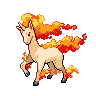 "Rapidash" Icon