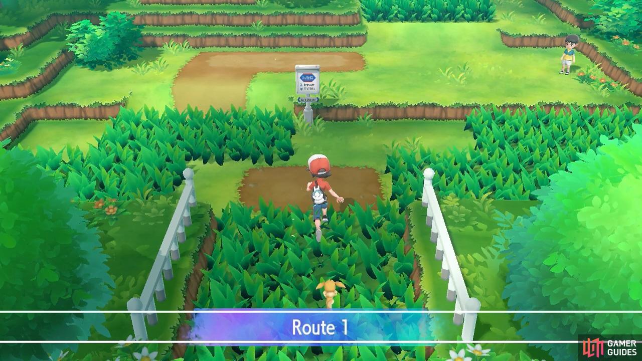 Here’s the one and only Route 1, in the Kanto region at least.