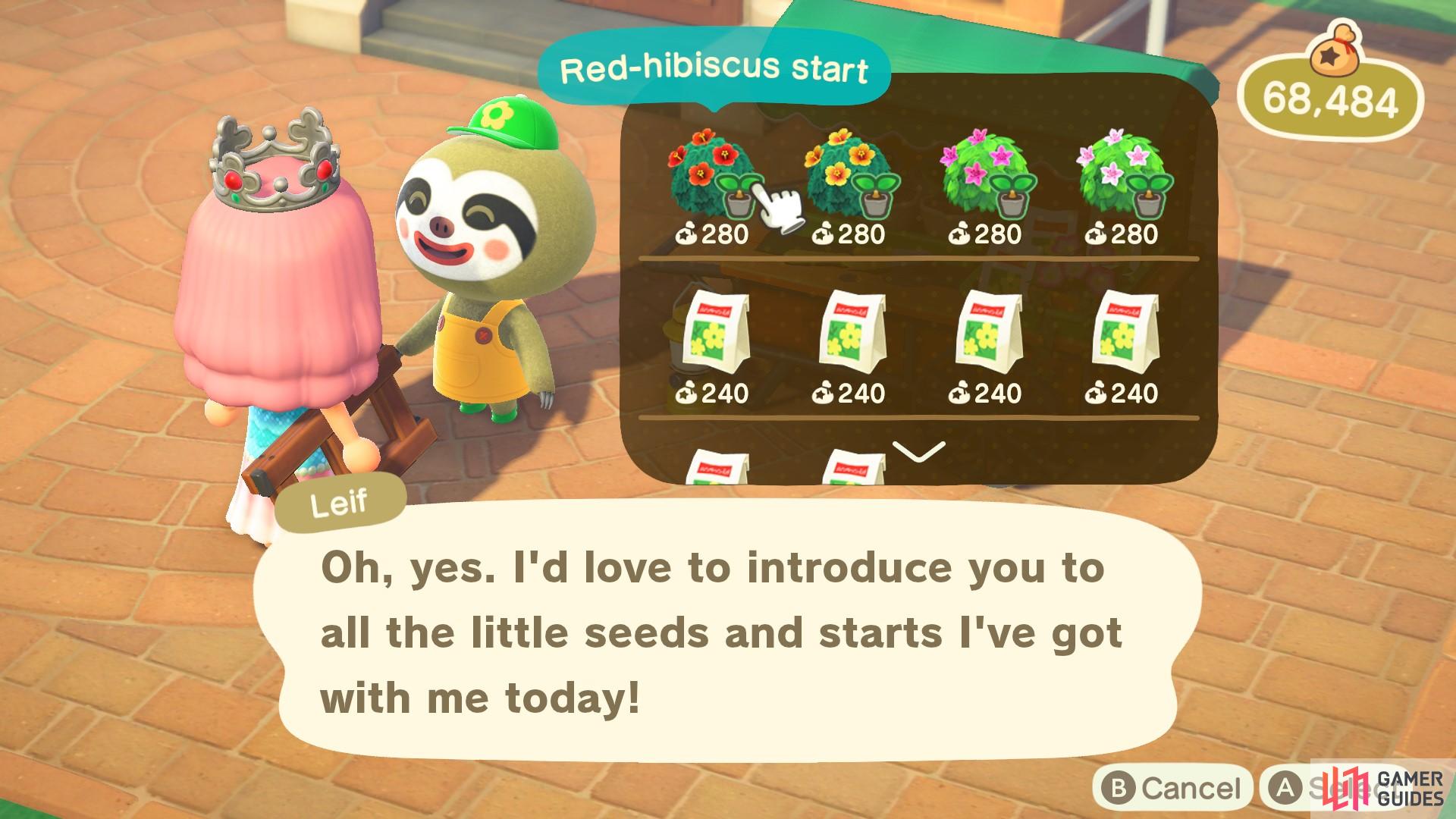 Leif sells shrubs and rare flower seeds. 