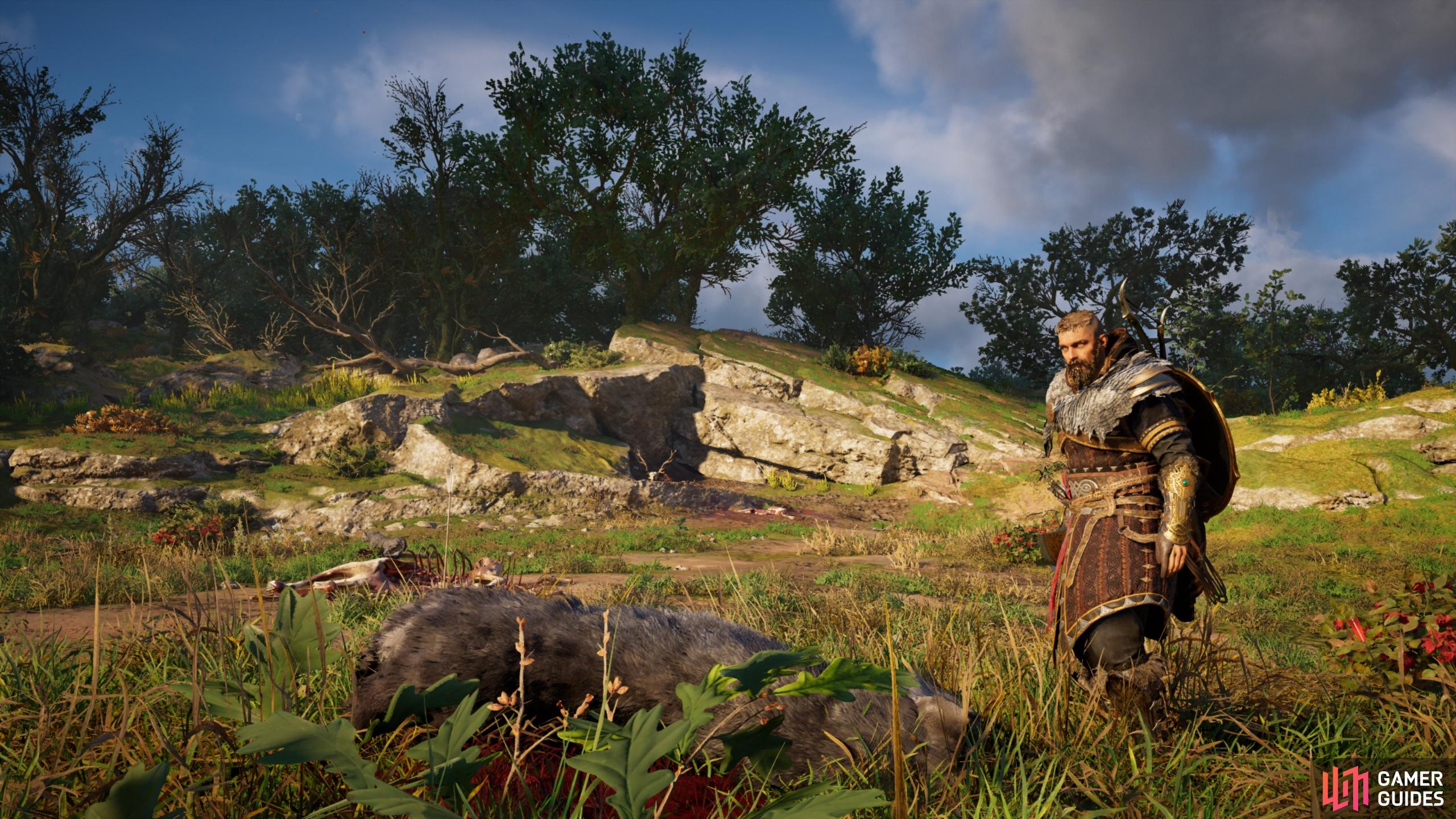 Assassin's Creed: Valhalla Screenshot