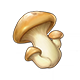 Mushroom_Gardening_Materials_Genshin_Impact.png