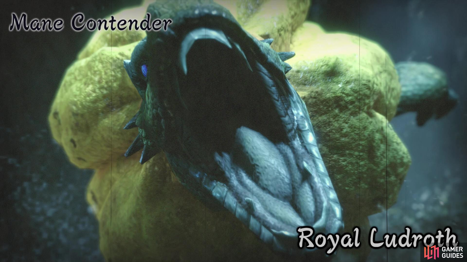 The Royal Ludroth is a Leviathan monster.