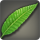 Island_Palm_Leaf.png