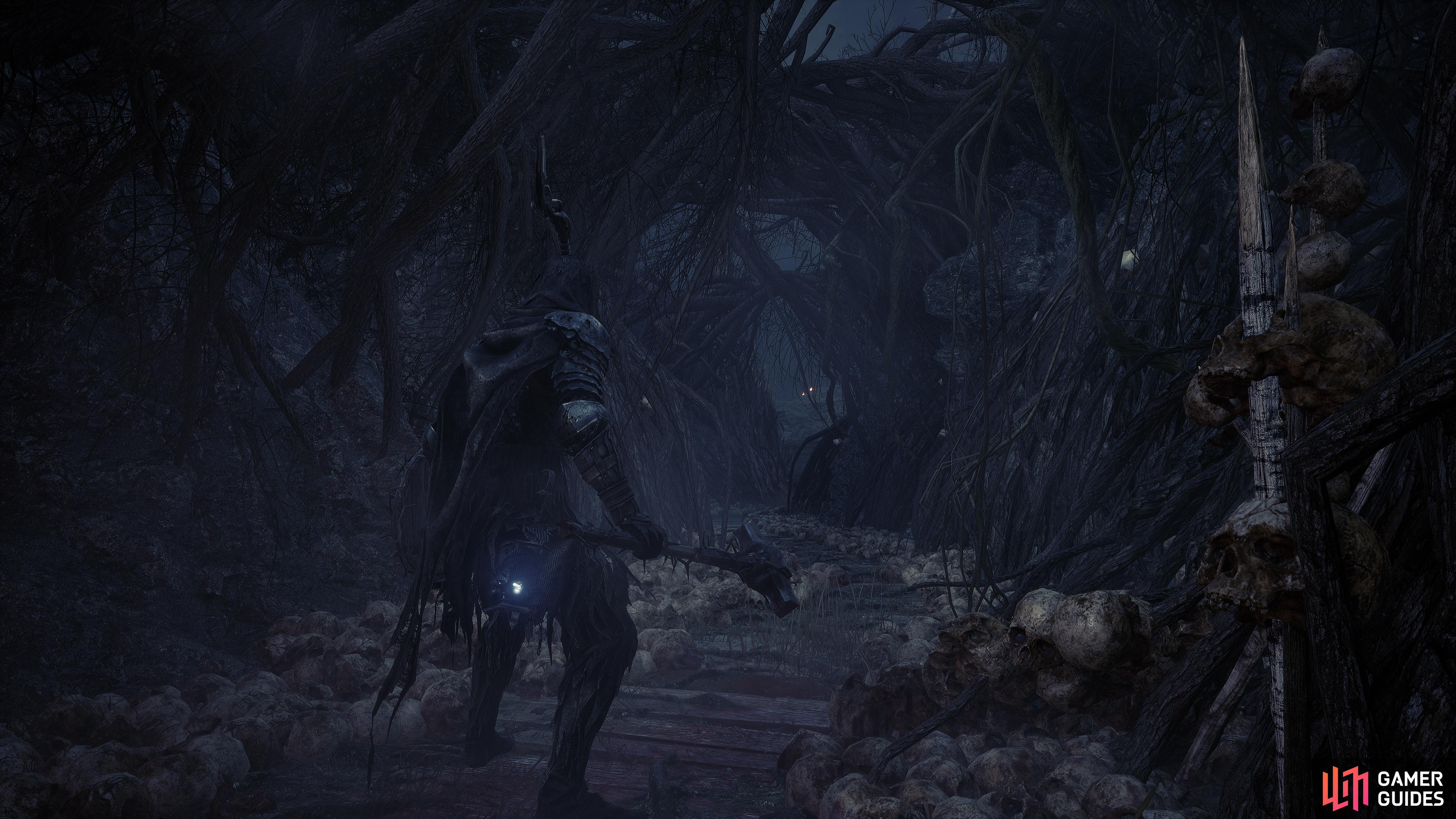 The Forsaken Fen is a harsh environment to explore.