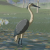 "Blue-Winged Heron" icon