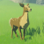 "Mountain Doe" icon