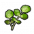 "Watercress" icon