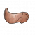 "Metal Helm (Uncommon) Recipe" icon