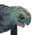 "Shaleback Hatchling" icon