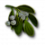 "Mistletoe" icon