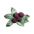 "Tarberry" icon