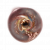 "Crimsonwhorl Bubbletear" icon