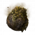 "Fetid Pot" icon