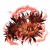 "Red Fulgurbloom" icon