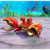 "Pincher Crab" icon